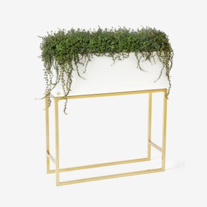 Moderne metalen stalen plantenbak bloembak plantenrek hoge plantenhouder kamerplantenstandaard loft plantenbak plantenbak grote plantenpot witgoud