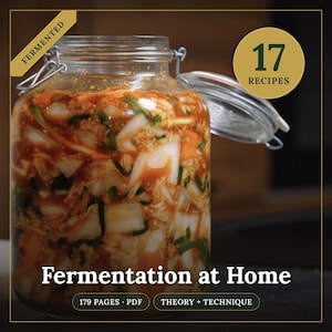 Könnte beinhalten: Ein klares Glasgefäß mit einem Drahtbügelverschluss gefüllt mit Kimchi, mit dem Text Fermented, 17 Recipes, Fermentation at Home, 179 Pages PDF und Theory + Technique. Das Glas enthält gehackten Kohl, Karotten und Frühlingszwiebeln.