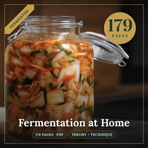 Fermentation Cookbook PDF, 179 Pages | Sauerkraut, Kimchi, Kombucha, Kvass & Kefir | Fermented Vegetables Guide | PDF