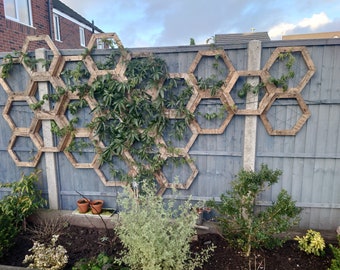 Repurposed Wood, Honeycomb Trellis, Hexagonal, Garden Decoration
