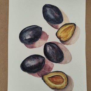 Original Plums Watercolor Painting: Still Life Kitchen Wall Art (6x8 in)