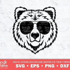 Ours avec des lunettes de soleil | 374 | Téléchargement de fichier numérique | SVG eps png dxf | Ours aviateurs