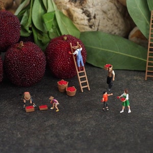 ModellerKunst/1:87 miniature model/creative scene/macro shooting/filming fruit picker