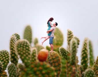 ModellerKunst/1:87 Miniature Dolls/Hugging Couple/Creative Scene/Macro Shooting/Moss Decoration