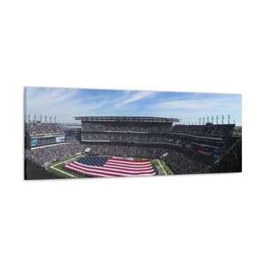 Philadelphia Eagles Stadium Canvas Gallery Wrap, Eagles Football, Philadelphia Football, Philadelphia Eagles Wall Art, Eagles Fan Gift