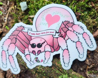 Pegatina de regalo de San Valentín / Valloween espeluznante: "Solo tengo ojos para ti" Araña de jardín