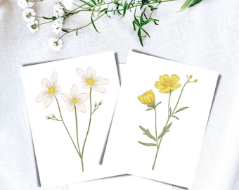 Wildflower Greeting Card Set, Floral Notecard Set of 12, Flower Greeting Card Pack, Blank Greeting Cards, Greeting Cards with envelopes