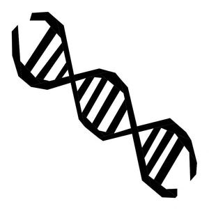 May include: A black and white illustration of a DNA double helix. The design features a twisted ladder structure with vertical bars connecting the two sides. The image is set against a plain white background.