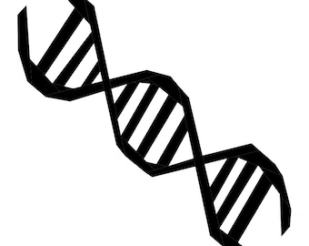 Modello FPP dell'elica del DNA