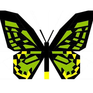 Op de afbeelding: Een geometrische illustratie van een vlinder met zwarte, groene en gele accenten. De vleugels van de vlinder hebben een gesegmenteerd ontwerp met zwarte contouren en groen en geel gevulde secties. Het lichaam is zwart met gele details.