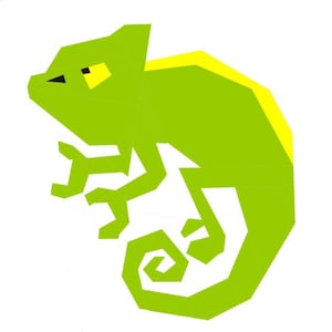 Chameleon pattern
