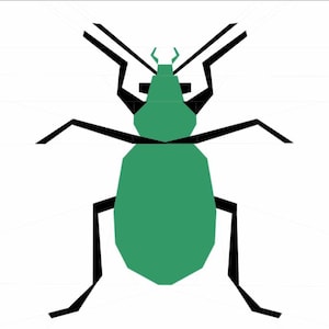 Calosoma Scrutator FPP Pattern
