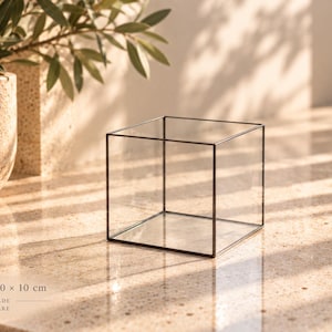 May include: A clear glass cube terrarium featuring a thin black metal frame. The object is labeled with the dimensions 10 x 10 x 10 cm and the text Handmade with care. The structure is open at the top and has four transparent glass sides.