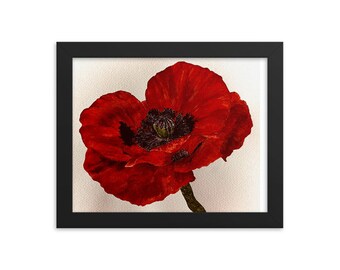Poppy Flower