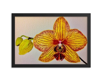 Orchid Flower