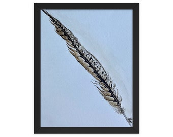 Pheasant Feather