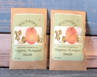 Organic Pumpkin Seed Packet