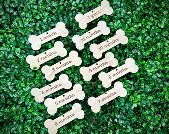 Puppy Milestone Cards, Dog Bone Monthly Marker, Puppy Milestone Photo Prop, Bone Shaped Dog Tag, Wooden Dog Bone, Puppy Growth Chart