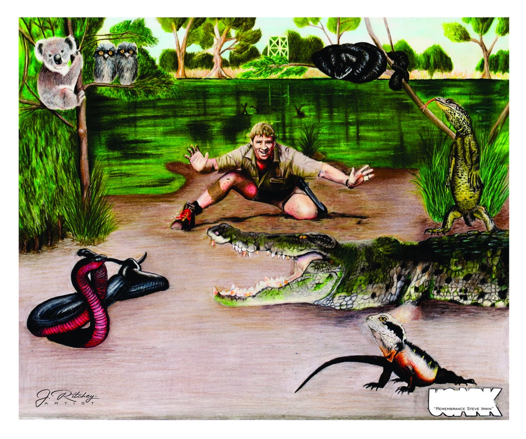 Remembering Steve Irwin 20 X 24 Canvas Print - Etsy