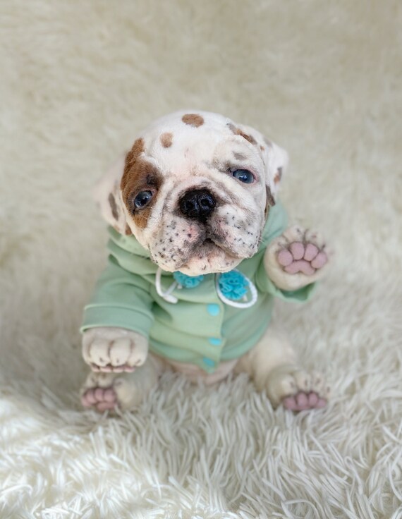 english bulldog toy