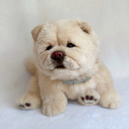 chow chow teddy bear toy