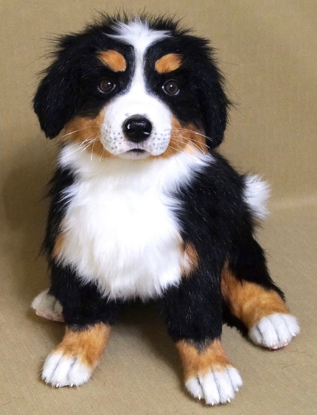 Bernese Mountain Dog Lab Mix Puppy lupon.gov.ph