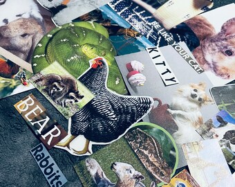 Animal Magazine Clippings Ephemera Junk Journal Collage Scrapbooking Mix Media