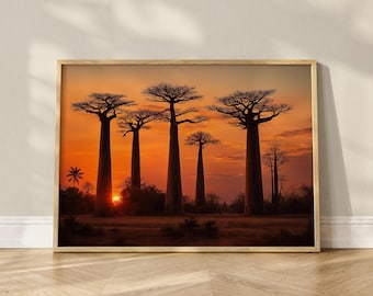Atardecer en el callejón de los baobabs, Madagascar - Arte mural - Paisaje africano