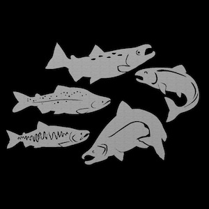 May include: Five gray salmon silhouettes on a black background. The salmon are facing different directions and are in various positions.
