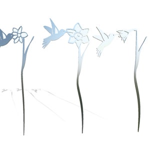 Op de afbeelding: Drie metalen silhouetten van kolibries die zich voeden met narcissen. De kolibries zijn in de vlucht en de narcissen bloeien. De silhouetten zijn lichtblauw.