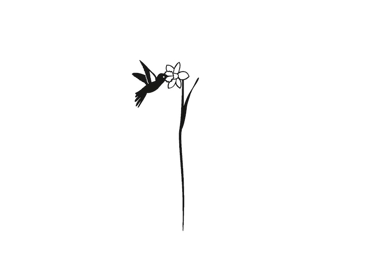 Op de afbeelding: Een zwart silhouet van een kolibrie die nectar drinkt uit een bloem.