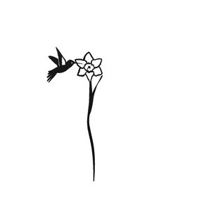 Op de afbeelding: Een zwart-witte illustratie van een kolibrie die in de buurt van een enkele bloem zweeft.