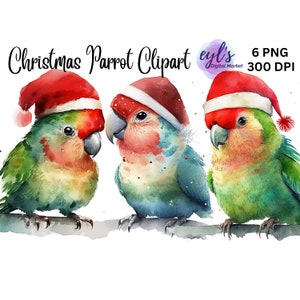 6 Clipart de papagaio de Natal, clipart de animal fofo, clipart de Natal de inverno de férias PNG, uso comercial, download digital, criação de cartões, artesanato