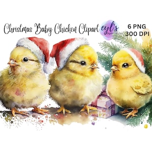 6 acuarela Navidad bebé pollo, lindo animal clipart, vacaciones invierno PNG, pollito con sombrero de Santa, uso comercial, imprimibles, fabricación de tarjetas