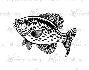 Crappie Fish Clip Art, Pan fish, cut file, .png, .svg, .eps, .pdf, .jpeg