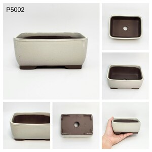 May include: Rectangular bonsai pot with a light grey exterior and a dark brown interior. The pot has a square shape with rounded corners and sits on four small feet. The pot has a drainage hole in the bottom and the text "P5002" is visible.