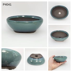 Peut inclure: Un pot à bonsaï en céramique émaillée bleu-vert avec un intérieur marron foncé. Le pot de forme ovale a une base arrondie et un trou de drainage. Le texte "P4041" est dans le coin supérieur gauche.