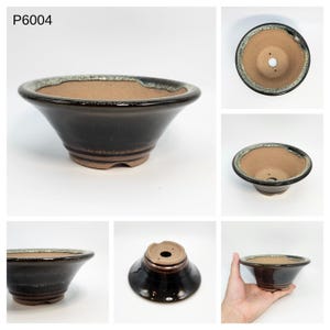 May include: A dark brown ceramic bonsai pot with a flared shape and a light brown interior. The rim has a contrasting light green and brown glaze. The pot has drainage holes and is labeled "P6004".