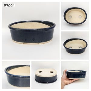 May include: A dark blue ceramic bonsai pot, oval in shape, with a light beige interior. The pot has a low profile, rounded rim, and two drainage holes. The exterior is a glossy, dark blue glaze, and the base is unglazed.