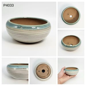 May include: A ceramic bonsai pot with a light blue rim and a textured, off-white body. The pot has a brown interior and drainage holes. The text "P4033" is visible in the upper left corner.