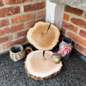 Baumscheiben einzeln kaufen Holzscheiben Birkenscheiben Hochzeitsdeko Tischdeko Deko Holz Natur Basteln DIY Bild 8