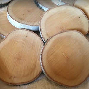 Baumscheiben einzeln kaufen Holzscheiben Birkenscheiben Hochzeitsdeko Tischdeko Deko Holz Natur Basteln DIY Bild 1