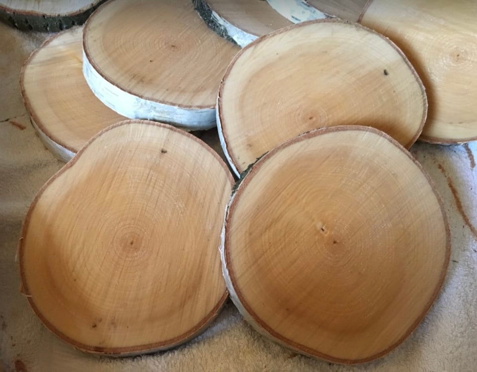 Buy tree slices individually Wooden slices Birch slices Wedding decoration Table decoration Decoration Wood Nature Crafts DIY