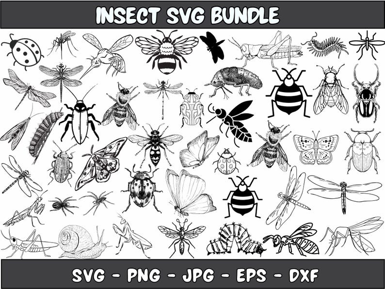 Files Insect Vector Insect SVG Bundle: Clipart, Silhouette, Cut Files (digital Download) - Etsy