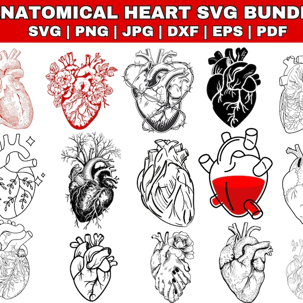 Anatomical Heart Svg Bundle, Flower Heart Svg, Human Heart Svg, Anatomy Svg, Heart SVG, CardiologySvg, Realistic Heart Svg, Heart Svg Bundle