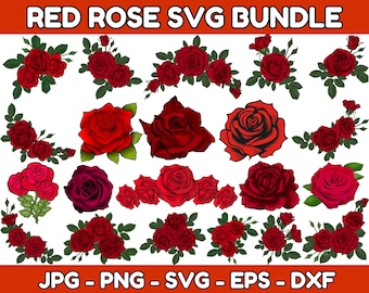 Rote Rose SVG Bundle: Blumen Clipart, Rosen Vorlage (Digitaler Download)