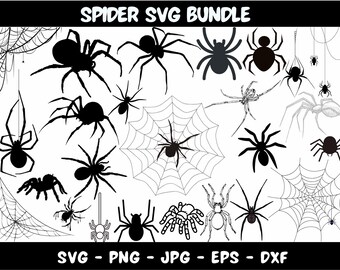Ensemble SVG araignée : silhouette de tarentule, conception de toile d'araignée (téléchargement numérique)