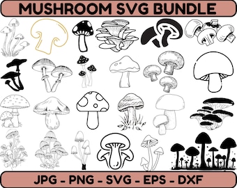 Pacchetto SVG di funghi: libro floreale, disegni boho (file digitali)