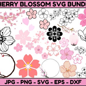 Cherry Blossom Svg, Cherry Blossom Png, Sakura Blossom Svg, Cherry Flower Svg, Pink Flowers Svg,Cherry Branch Png,Botanica Png,Sakura Flower