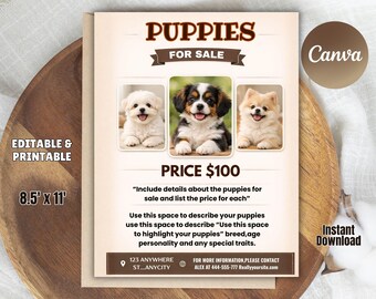 Puppies Flyer Template, Pet Tear Off Flyer (Digital Download)